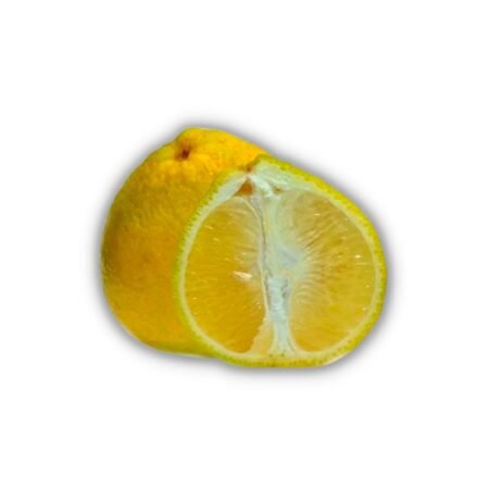 Muda Laranja Champanhe