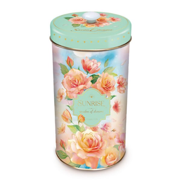 Biscoito Amanteigado Collection Butter cookies Santa Edwiges Lata 150g