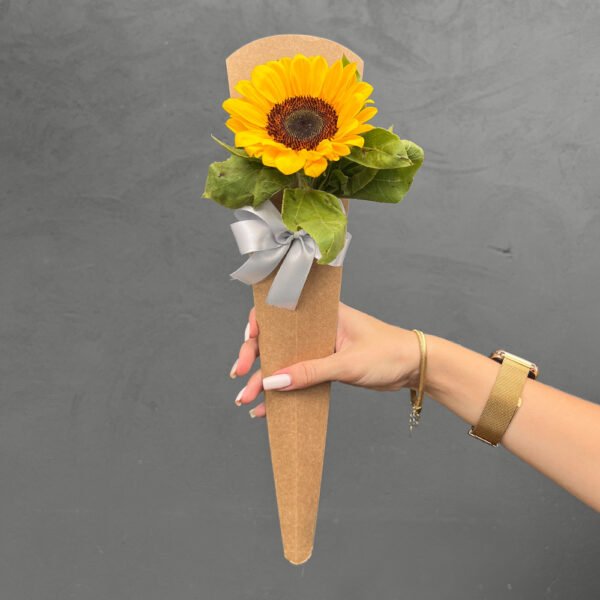 Cone 1 Girassol • Outono 2025