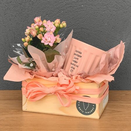 Cesta Kalanchoe P06 + Caneca Amizade