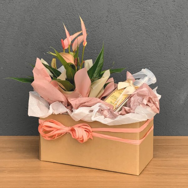 Cesta Antúrio P09 Rosa + Aromatizador Ambiente Maça Com Canela 250ml Essenza