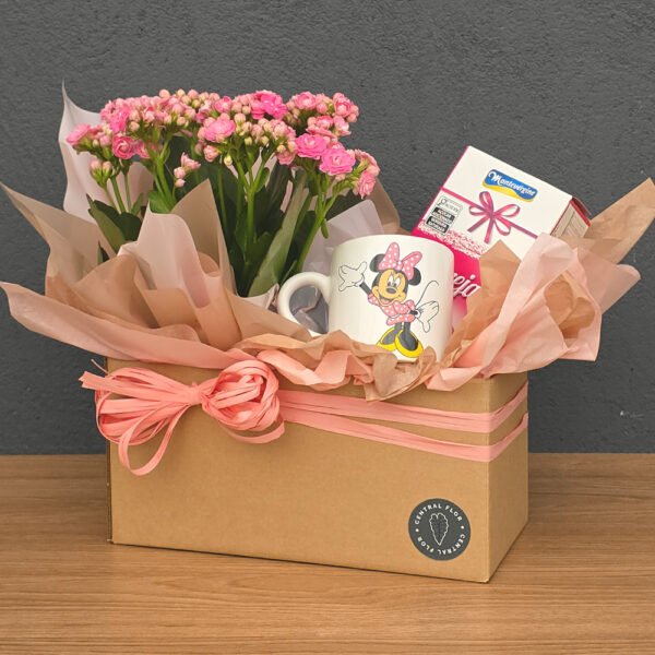 Cesta Kalanchoe P11 + Bombom Morango + Caneca Minnie