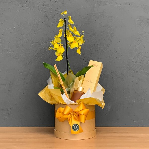 Box Orquidea P12 Oncidium 1H 60cm + Difusor De Aromas Cerejeira 130ml Essenza