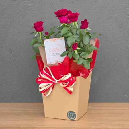 Mini Rosa P15 Vermelha + Cachepô de Papel • Dia Das Mães 2025