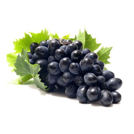 Muda Uva Francesa Enxerto Rama