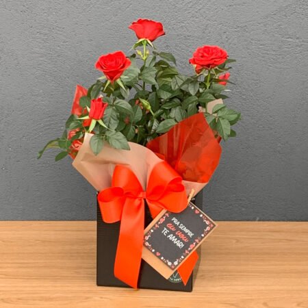 Mini Rosa P15 Vermelha + Cartão Pra Sempre Vou Te Amar