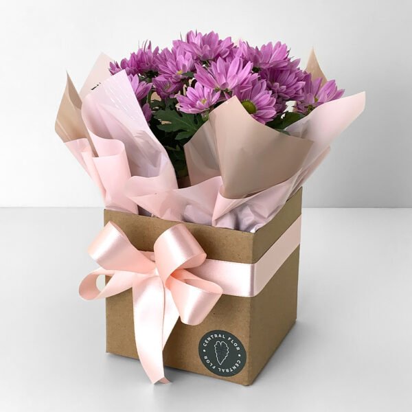 Muda Mini Margarida P11 Rosa + Cachepô de Papel + Laço