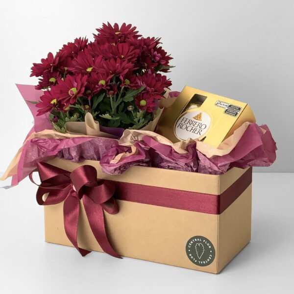 Cesta Mini Margarida P11 Bordô + Ferrero Rocher