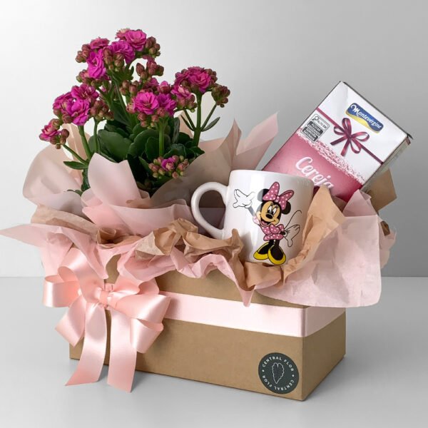 Cesta Kalanchoe P11 + Bombom Morango + Caneca Minnie
