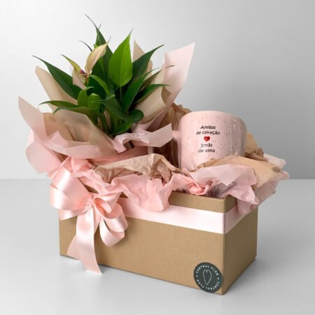 Cesta Muda Antúrio P09 Rosa + Caneca "Amigas de Coração Irmãs de Alma"