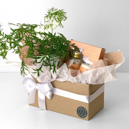 Cesta Muda Arvore da Felicidade P11 Femea + Kit Boas Energias Essenza