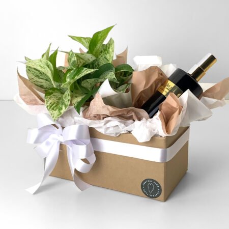 Cesta Jiboia C13 Branca + Home Spray Iris E Flor De Laranjeira 230ml Mahogany