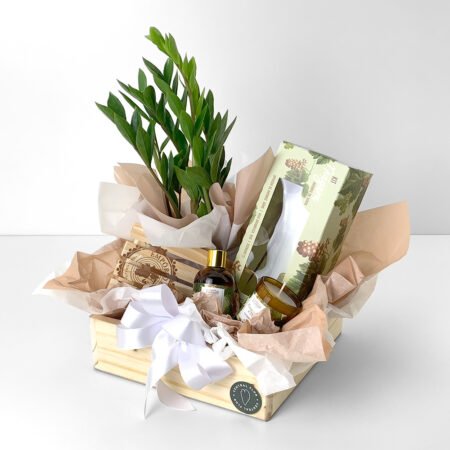 Cesta Muda Zamioculca P09 35cm + Mini Kit Vela Empório Essenza Aromas da Serra - Niágara