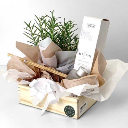 Cesta Muda Alecrim P13 + Difusor De Aromas Alecrim 130ml Essenza