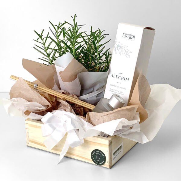 Cesta Muda Alecrim P13 + Difusor De Aromas Alecrim 130ml Essenza