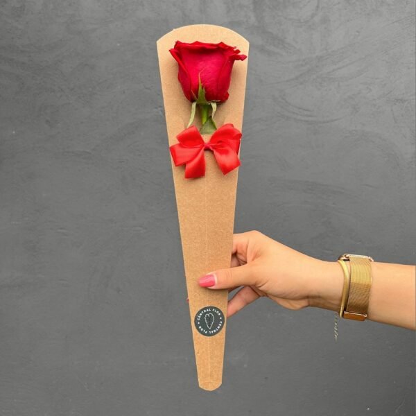 1 Rosa Embalada Importada (Cor Vermelha)