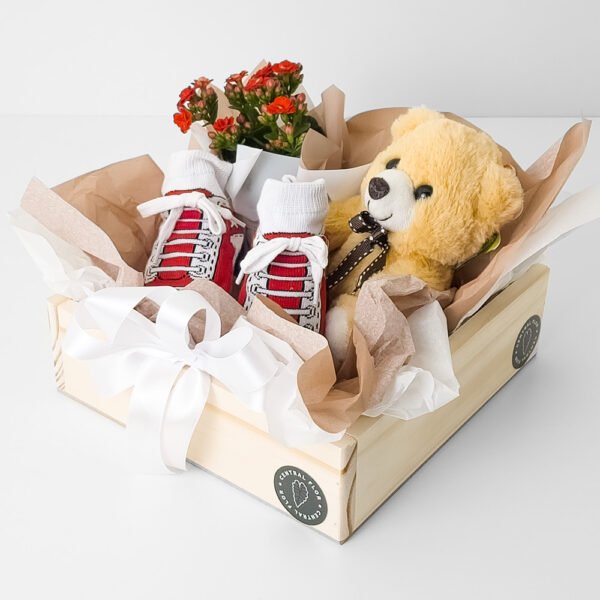 Cesta Muda Kalanchoe P06 Vermelho + Urso de Pelúcia + Sapatinho De Bebe