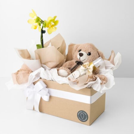 Cesta Muda Orquidea P06 + Urso de Pelúcia + Mini Difusor de Aromas Essenza
