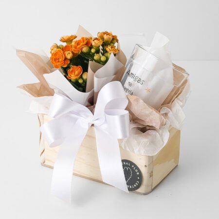 Cesta Muda Kalanchoe P06 Laranja + Copo Boteco Amiga