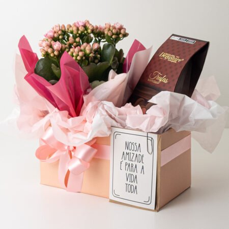 Cesta Muda Kalanchoe P11 Rosa + Caixa Trufas Sortidas + Cartão "Nossa amizade é para a vida toda"