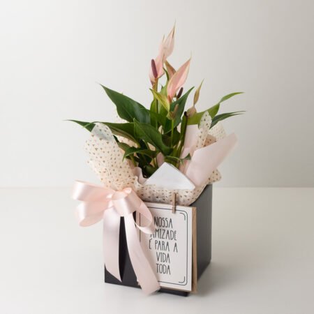 Muda Anturio P09 Rosa + Cachepô de Papel + Cartão "Nossa amizade é para a vida toda"