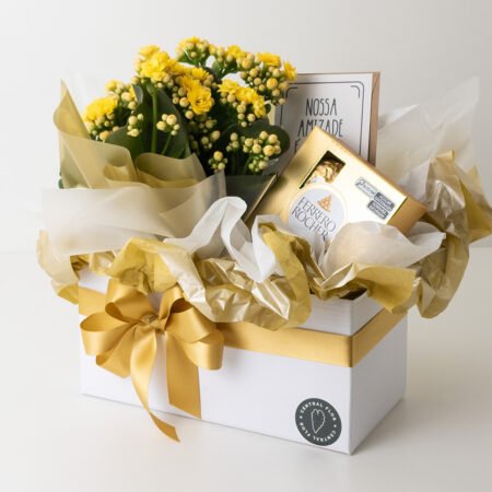 Cesta Muda Kalanchoe P11 Amarelo + Ferrero Rocher + Cartão "Nossa amizade é para a vida toda"