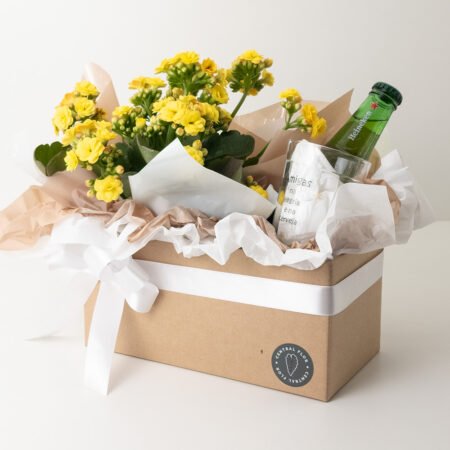 Cesta Muda Kalanchoe P11 Amarelo + Copo Boteco Amiga + Cerveja Heineken