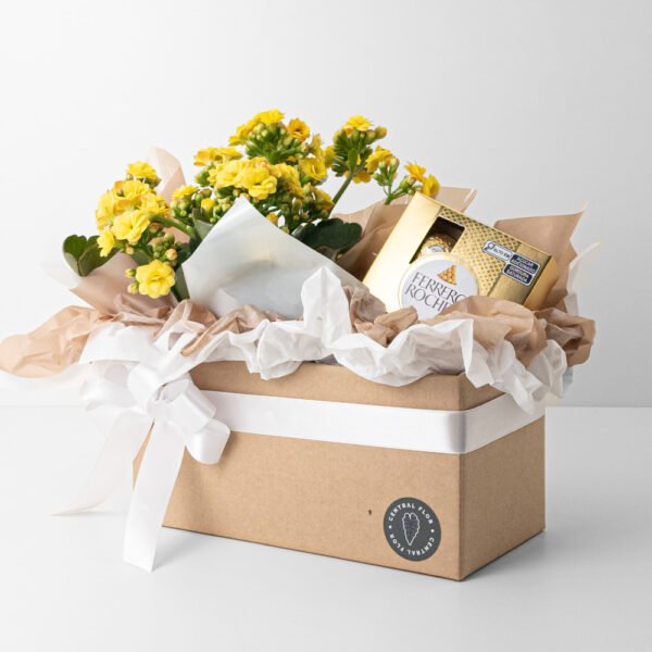 Cesta Kalanchoe P11 Amarelo + Ferrero Rocher 50g