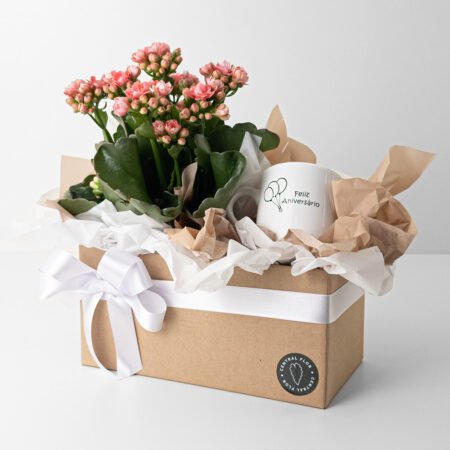 Cesta Para Aniversariante com Kalanchoe P11 + Caneca
