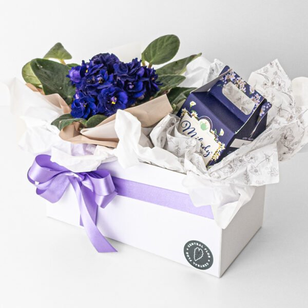 Cesta Violeta P11 Violeta + Caixinha Chá Boa Noite