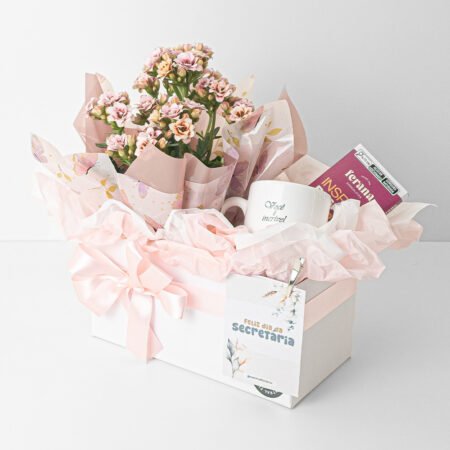Cesta kalanchoe P11 Variado + Chocolate + Caneca "Você é Incrível" • Dia Da Secretaria 2025
