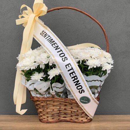 Cesta 2 Crisântemo Variado + Faixa