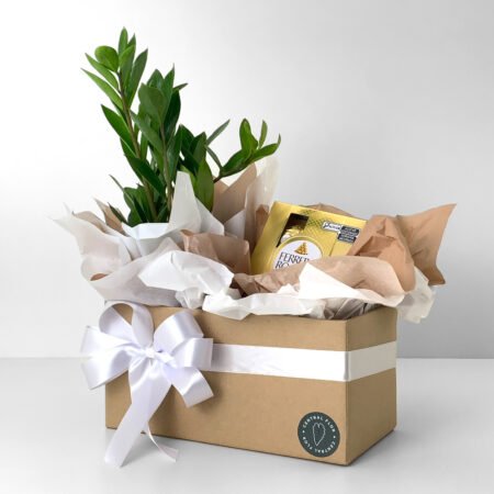 Cesta Zamioculca P09 + Bombom Ferrero Rocher 50g