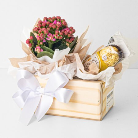 Cesta Kalanchoe P06 Rosa + Ferrero Rocher