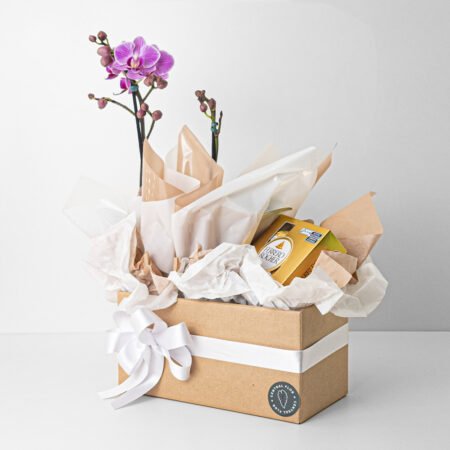 Cesta Orquidea P09 Phalaenopsis 2H 35cm+ Ferrero Rocher
