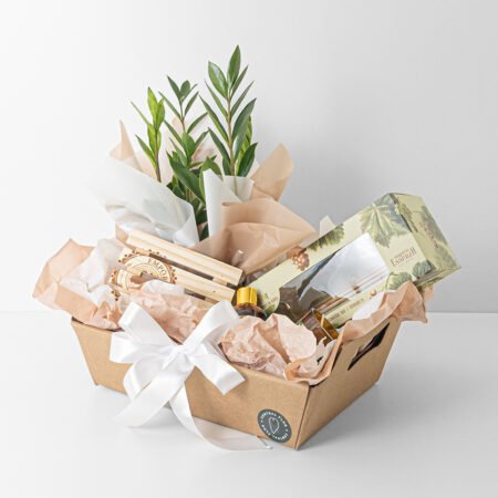 Cesta Zamioculca P09 + Kit Vela Difusor e Estrado Empório Essenza