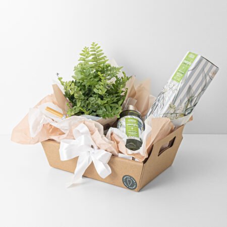 Cesta  Samambaia C13 Dallas + Difusor de Aromas Essenza