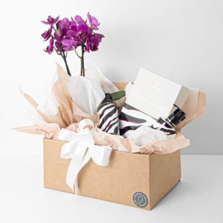Cesta Orquidea P12 Phal 2H Perfilhada + Kit Sabonete e Hidratante Style Pleasures Mahogany