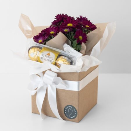 Mini Margarida P11 Bordô + Cachepô de Papel + Laço + Ferrero Rocher