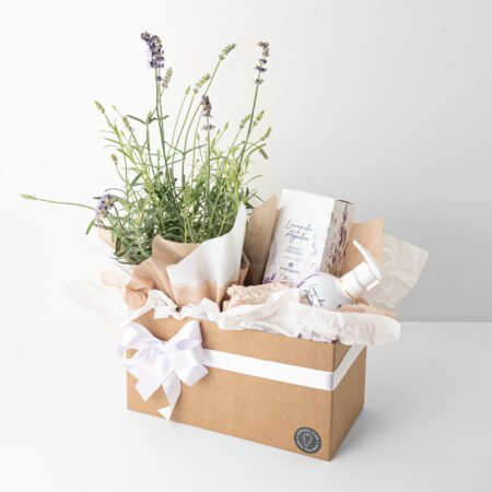 Cesta Muda Lavanda P14 + Hidratante Corporal Lavanda E Algodao 350ml Mahogany