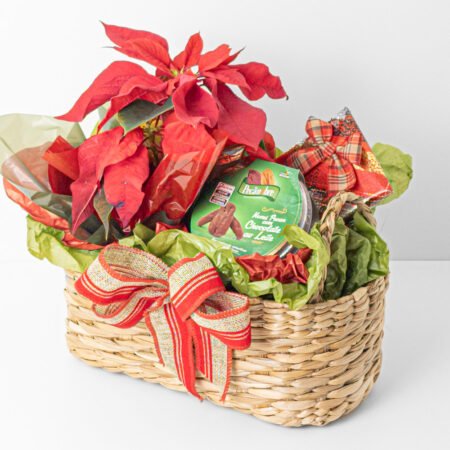 Cesta Poinsettia P11 Vermelha + Nozes Pecan Chocolate ao Leite + Chocolate Di Pietro 70G