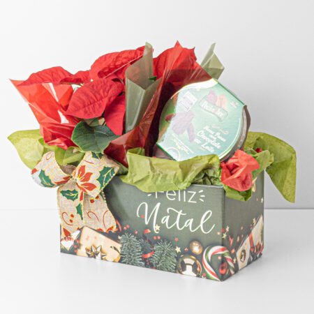 Cesta Poinsettia P11 Vermelha + Nozes Pecan Chocolate ao Leite