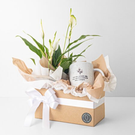 Cesta Lírio da Paz + Caneca Especial