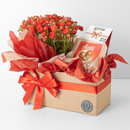 Cesta Kalanchoe P11 Vermelho + Bombom Avelã 55g - Valentine's Day 2026