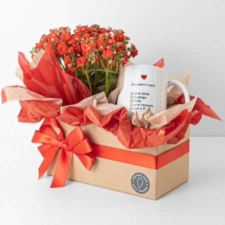 Cesta Kalanchoe P11 Vermelho + Caneca Eu Quero Você - Valentine's Day 2026