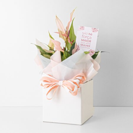 Antúrio P09 Rosa + Cachepô de Papel - Dia Da Mulher 2026