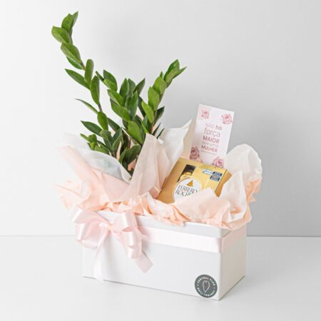 Cesta Zamioculca P09 + Ferrero Rocher 50g - Dia Da Mulher 2026