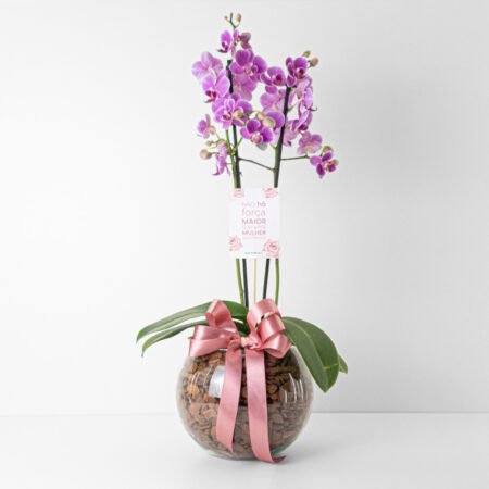 Composição Orquidea P12 Phal 2H + Cachepô de Vidro + Laço - Dia Da Mulher 2026