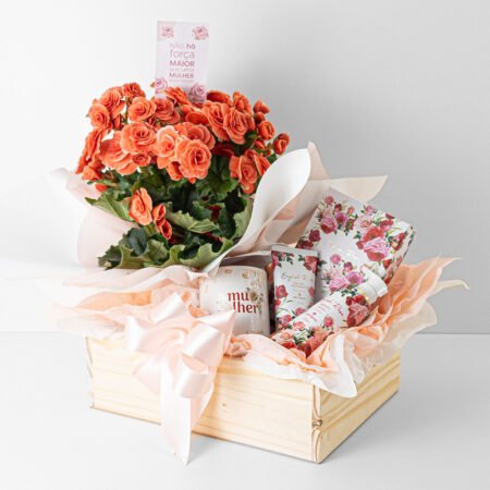 Cesta Begônia P15 Rosa + Kit English Rose +  Caneca Dia Da Mulher - Dia da Mulher 2026