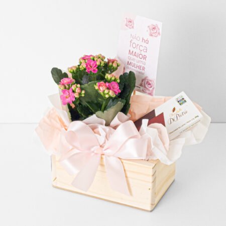 Mini Cesta Kalanchoe P06 + Tablete ao Leite Di Pietro 28g - Dia da Mulher 2026